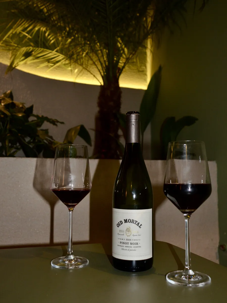 Dos copas de vino tinto y una botella en el patio de noche, con la palmera iluminada